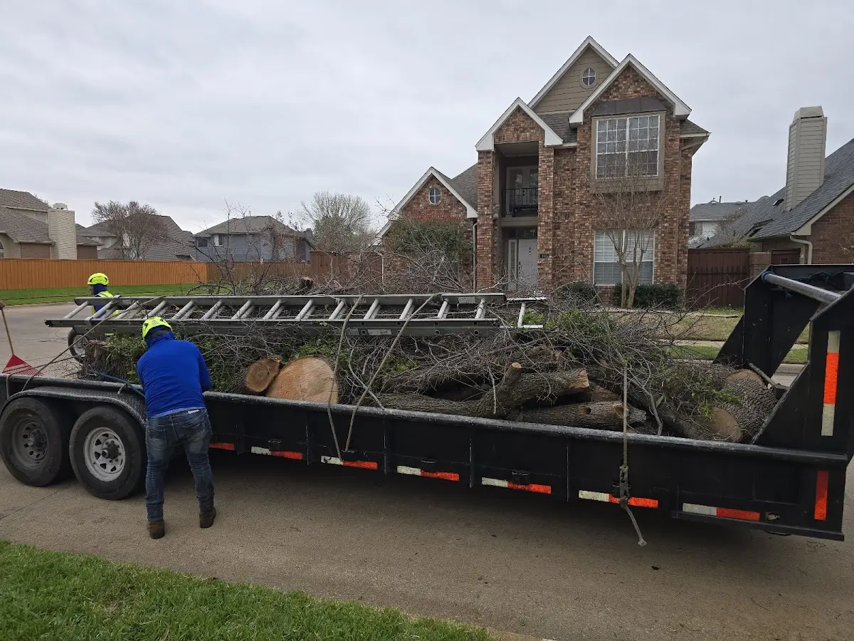 Expert Tree Fertilization with proper safety equipment in Durant